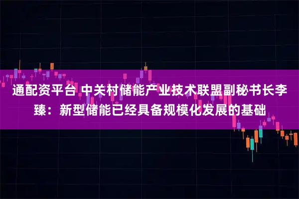 通配资平台 中关村储能产业技术联盟副秘书长李臻：新型储能已经具备规模化发展的基础