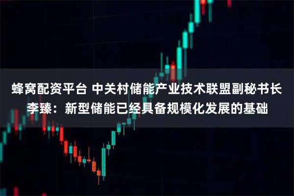 蜂窝配资平台 中关村储能产业技术联盟副秘书长李臻：新型储能已经具备规模化发展的基础
