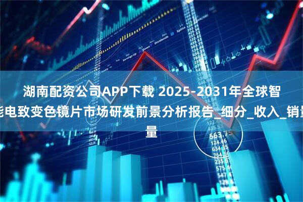 湖南配资公司APP下载 2025-2031年全球智能电致变色镜片市场研发前景分析报告_细分_收入_销量