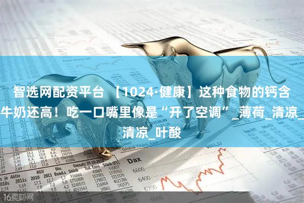 智选网配资平台 【1024·健康】这种食物的钙含量比牛奶还高！吃一口嘴里像是“开了空调”_薄荷_清凉_叶酸